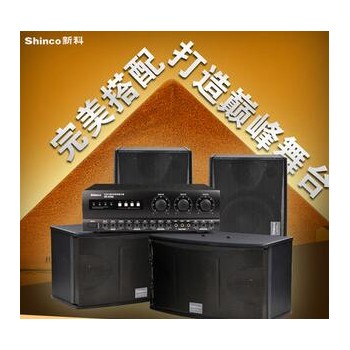 Shinco/新科 K10大功率功放 家用专业卡拉OK音响 会议舞台KTV音箱图2