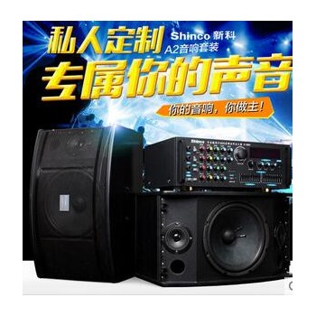 Shinco/新科 A2家庭KTV音响套装专业卡拉OK设备舞台专用卡包音箱图2