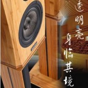 KEJEE无源HIFI级书架对箱大师之声音乐思想家15mm纯竹制音箱音响