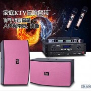 OK680家庭音响套装 KTV音响 卡包音响系列 10寸家庭卡拉OK音响