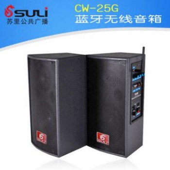 CW-25G 蓝牙无线音箱 公共广播 智能广播 蓝牙教学系统 音箱图2