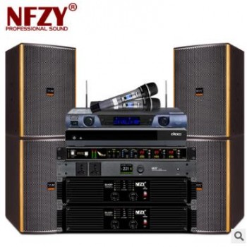 NFZY FX12家用卡拉OK音响专业KTV 家庭套装 专业会议多功能厅音箱图2