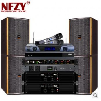 NFZY FX12家用卡拉OK音响专业KTV 家庭套装 专业会议多功能厅音箱图3