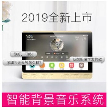 智能影音家庭背景音乐系统吸顶音响吊顶喇叭主机控制器图2