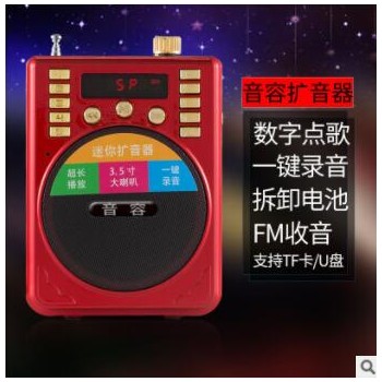 现代B15 扩音器教师专用小蜜蜂扩音器导游教学腰挂大功率唱戏机图2