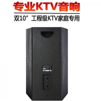 双10寸KTV包房音箱家庭音箱套装舞蹈室教室舞台音箱点歌机图2