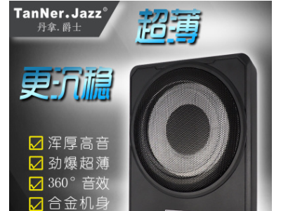 丹拿.爵士TanNer.Jazz10寸超薄低音炮车载音响纯低音喇叭厂家直销图1