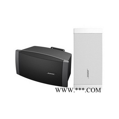 BOSE DS100SE 全频扬声器