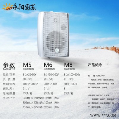 音丽士Levoice M5 M6 M8定阻扬声器音箱会议多功能壁挂音箱Levoice音丽士壁挂音箱厂家图1