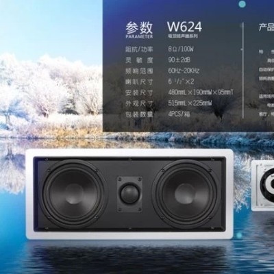 Levoice/音丽士  W624定阻嵌入式墙壁壁挂音箱/背景音乐 家庭影院音箱