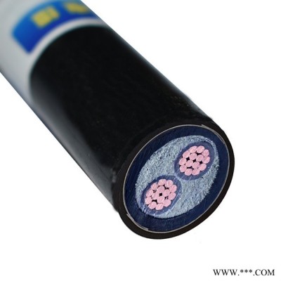 金环宇电缆 二芯铠装电缆 阻燃耐火电力电缆ZCN-YJV22-2X95平方