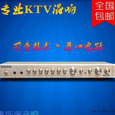 荣扬 DSP-868 家用专业卡拉OK 麦克风混响器 HIF