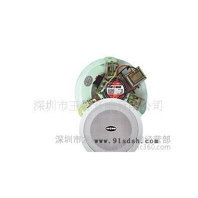 PIPOWER吸顶式音箱PRS-501，壁挂音箱天花喇叭，先锋背景音乐