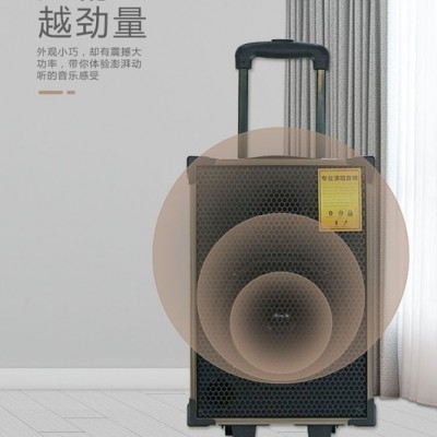 乐浪MS600语音播报器 蓝牙音箱低音炮 移动音响拉杆音箱 收音机 扩音器教师用 插卡音箱/唱戏机图3