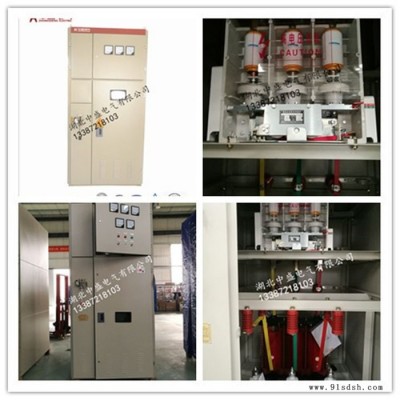 湖北中盛SMPC电动机高压电容补偿柜  抑制谐波提高功率因数商家图5