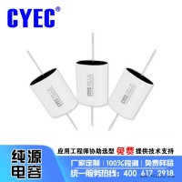 纯源【厂家批发】电炉电容器定制 价格优 超长寿命CSF 0.22uF 3000V.DC