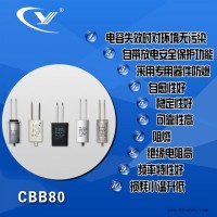 纯源【厂家批发】CBB60D CBB62 灯具 灯盘电容器定制CBB80 6uF 250V.AC