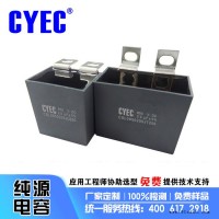 纯源【厂家批发】可控硅吸收电容器定制 CSL 2uF 850VDC