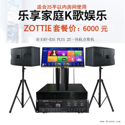 ZOTTIE灯光音响 V-10 卡拉ok音箱套装 K歌音箱  家用家庭ktv音响套装 MZU-2618无线话筒图2