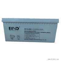 BND蓄电池NP12-7 12V7AH音箱电瓶 电梯配件