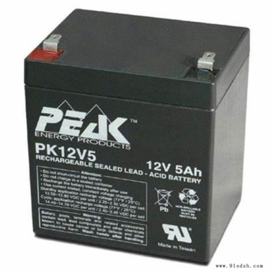 PEAK蓄电池PK12V26 12V26AH精密仪器 音箱 电梯图2