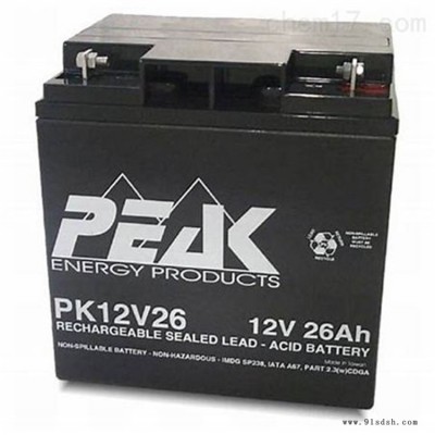 PEAK蓄电池PK12V26 12V26AH精密仪器 音箱 电梯图1