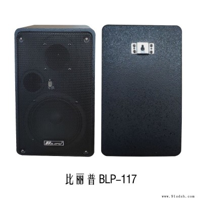 专业广播音箱生产商 比丽普BLP-117有源音箱带录音功能和广播信号输入图2