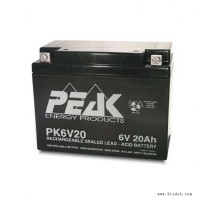 PEAK蓄电池PK12V12 12V12AH精密仪器 音箱 电梯