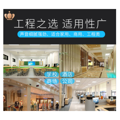 厂家直发6寸吸顶喇叭店铺背景音乐音响吊顶超市广播商场天花音箱图2