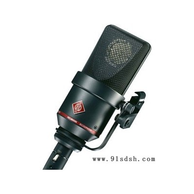 纽曼 Neumann TLM 170 R 多点模式的大振膜录音电容式麦克风（黑色）产品价格图2